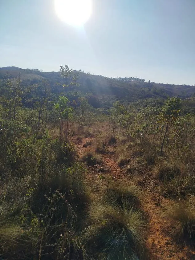 Foto do imóvel Vendo uma excelente fazenda em Oliveira / MG 100 hectares de área total;