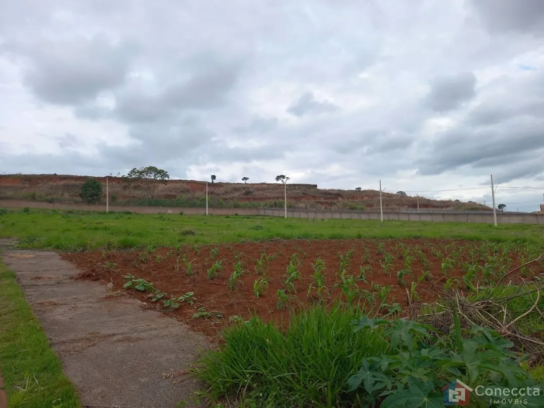 Imagem Terreno à venda, 364 m² por R$ 275.000,00 - Alto dos Caiçaras - Patos de Minas/MG