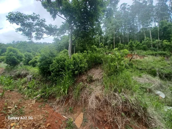 Imagem Terreno para Venda em Concórdia, Santo Antônio