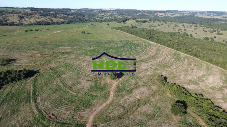 Imagem Fazenda Top 243 Ha alta produtividade em Piracanjuba GO
