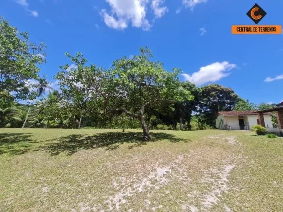 Imagem SITIO RURAL em CAMAÇARI - BA, JORRINHO
