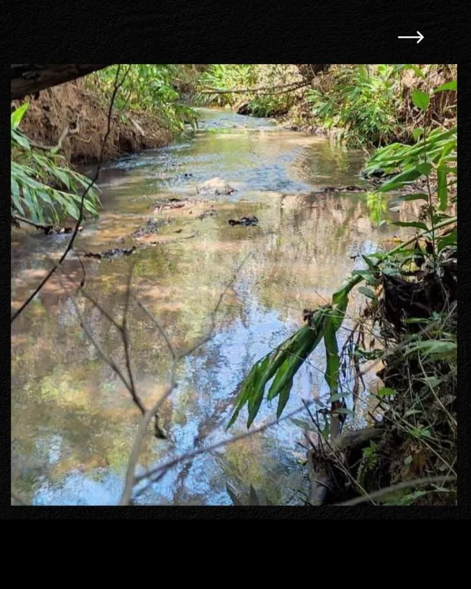 Imagem Fazenda à venda em Desterro de Entre Rios/MG Área total de 41,0725 hectares