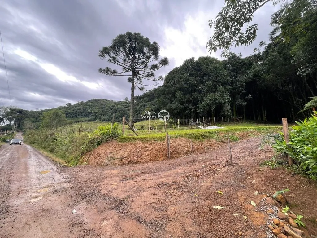 Imagem Terreno à venda, 20000 m2 por R$ 890.000 - Esplanada - Caxias do Sul/RS