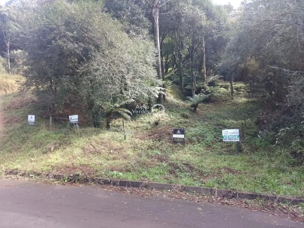 Foto do imóvel Terreno à Venda em Santa Terezinha, Canela - RS