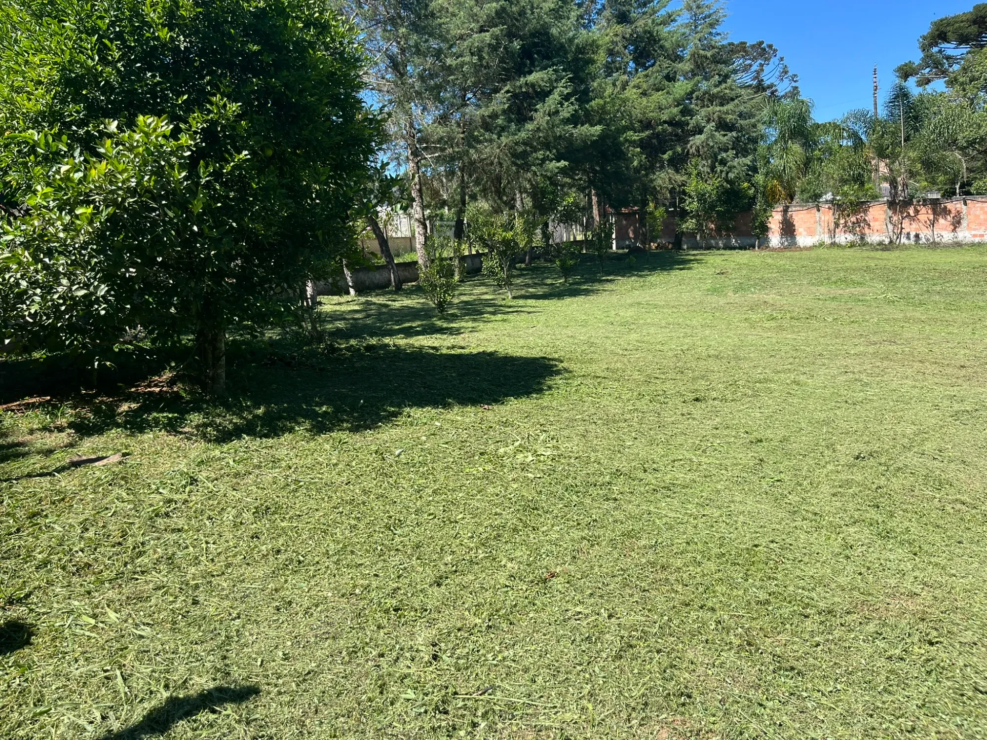 Imagem Chácara com 3 Quartos à Venda, 8000 m² em Campina do Taquaral - São José dos Pinhais