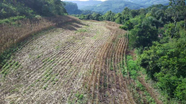 Imagem Área Agrícola para Venda em Concórdia, Barra do Pinhal
