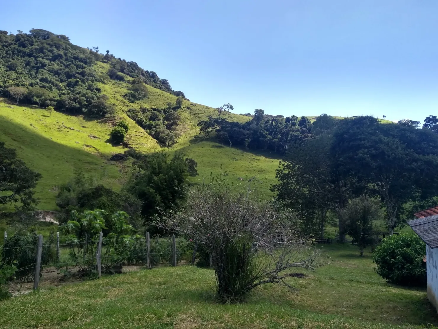 Imagem Chácara à venda 2 Quartos, 768000M², Zona Rural, Cunha - SP