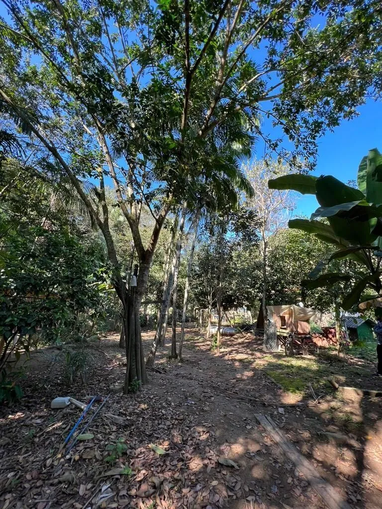 Imagem Sítio dos Sonhos: Descubra o Encanto da Natureza no Brilhante 2