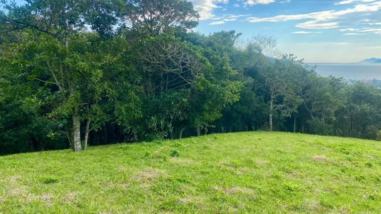 Imagem Terreno à venda em Garopaba-SC, na Praia da Silveira, com 4.908,00 m² de área! Aproveite essa oportunidade única!