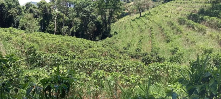 Imagem Terreno no Bairro da Lagoa - Oportunidade Única!