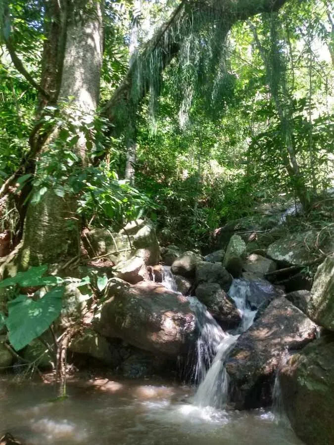 Imagem Chácara para venda, bairro Voluntário Baixo em Igrejinha/RS.