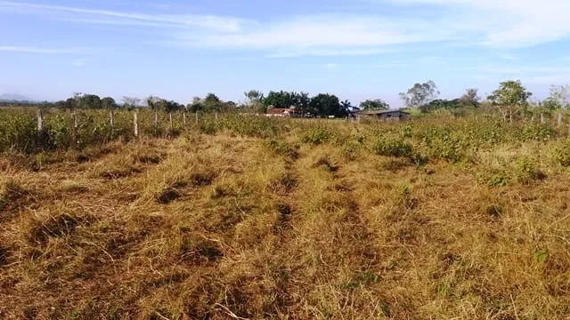 Imagem Chácara à venda 2000M², Cruz Pequena, Pindamonhangaba - SP