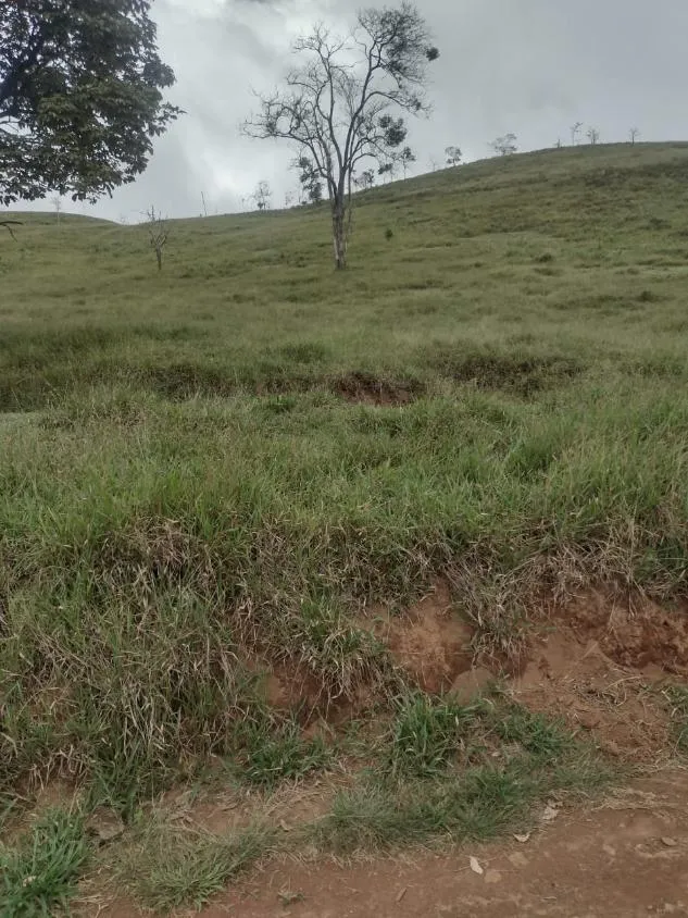 Imagem Terreno à Venda em São Domingos do Prata/MG com 25,5 hectares de terra