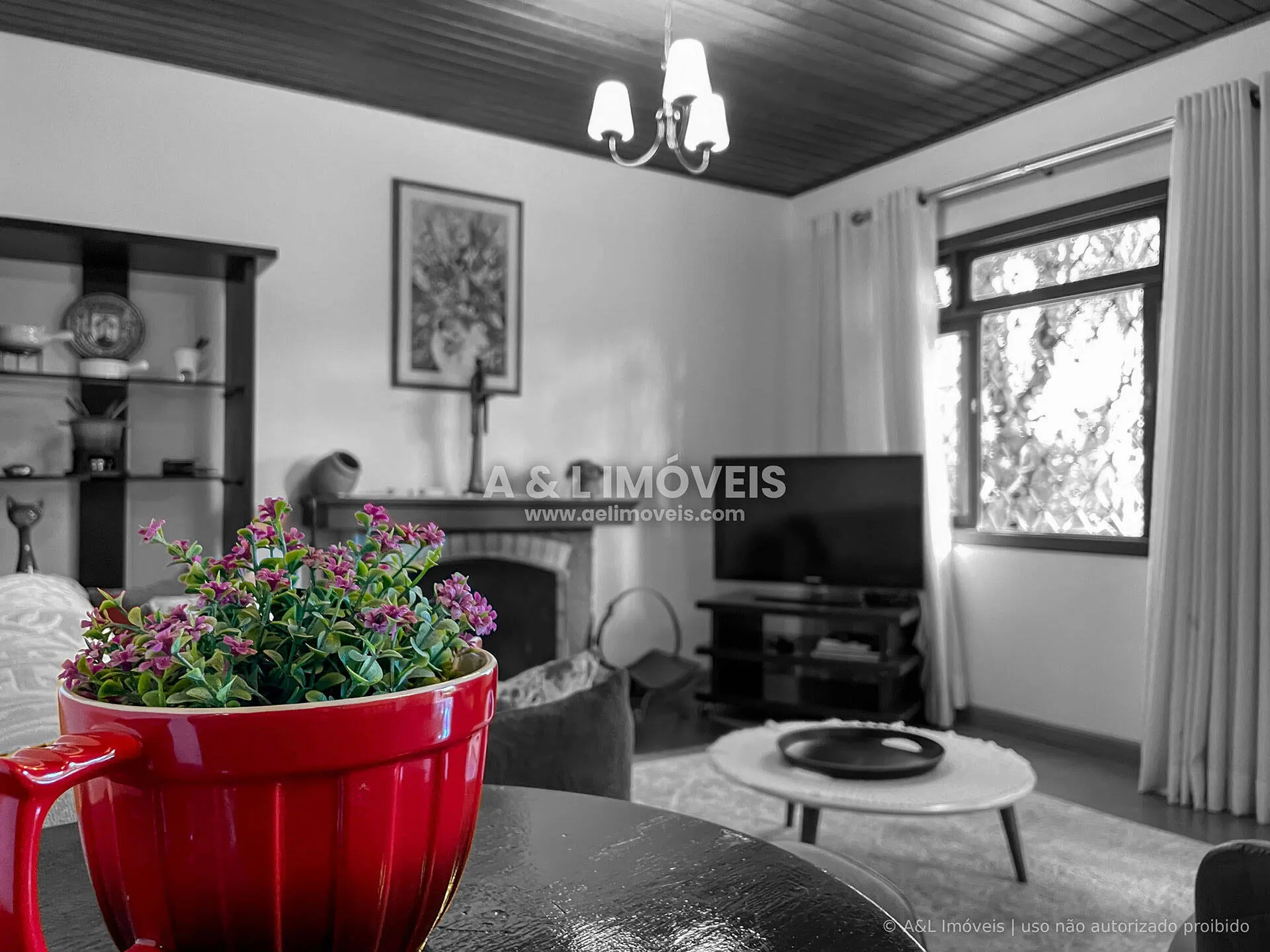 Imagem Apartamento com Adega e Lareira | Morro do Elefante | Campos do Jordão
