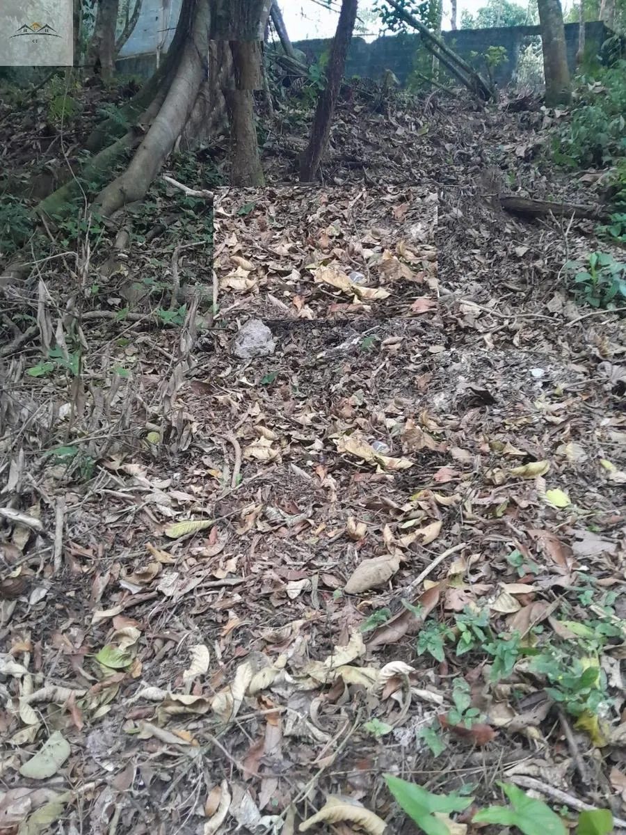 Foto do imóvel TERRENO RURAL em Ribeirão Pires - São Paulo, Quarta Divisão