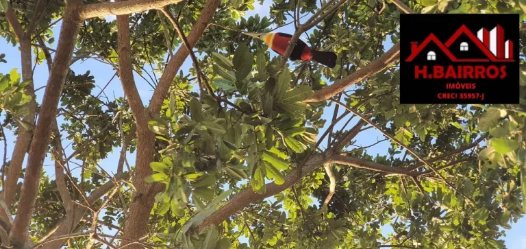 Imagem Chácara à Venda no Bairro da Lagoa em Paraibuna