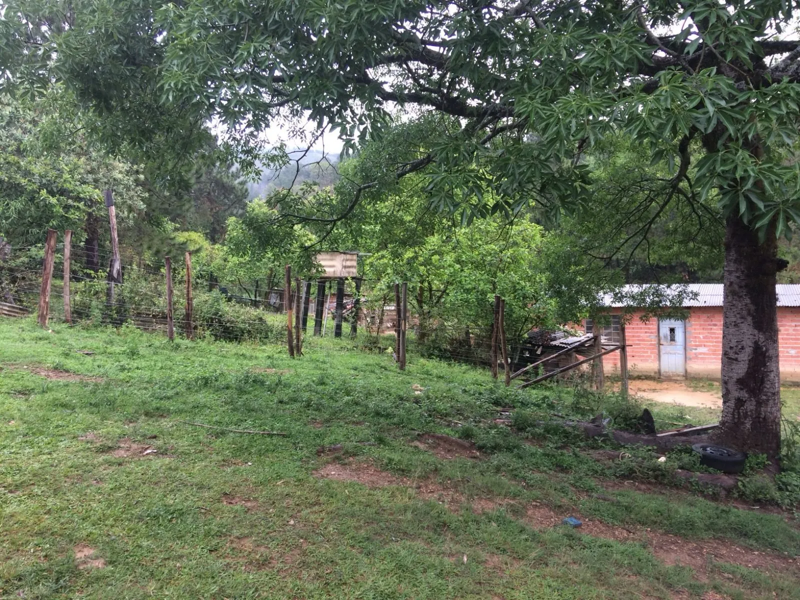 Imagem Oportunidade: Sítio com Muito Verde e Água de Nascente
