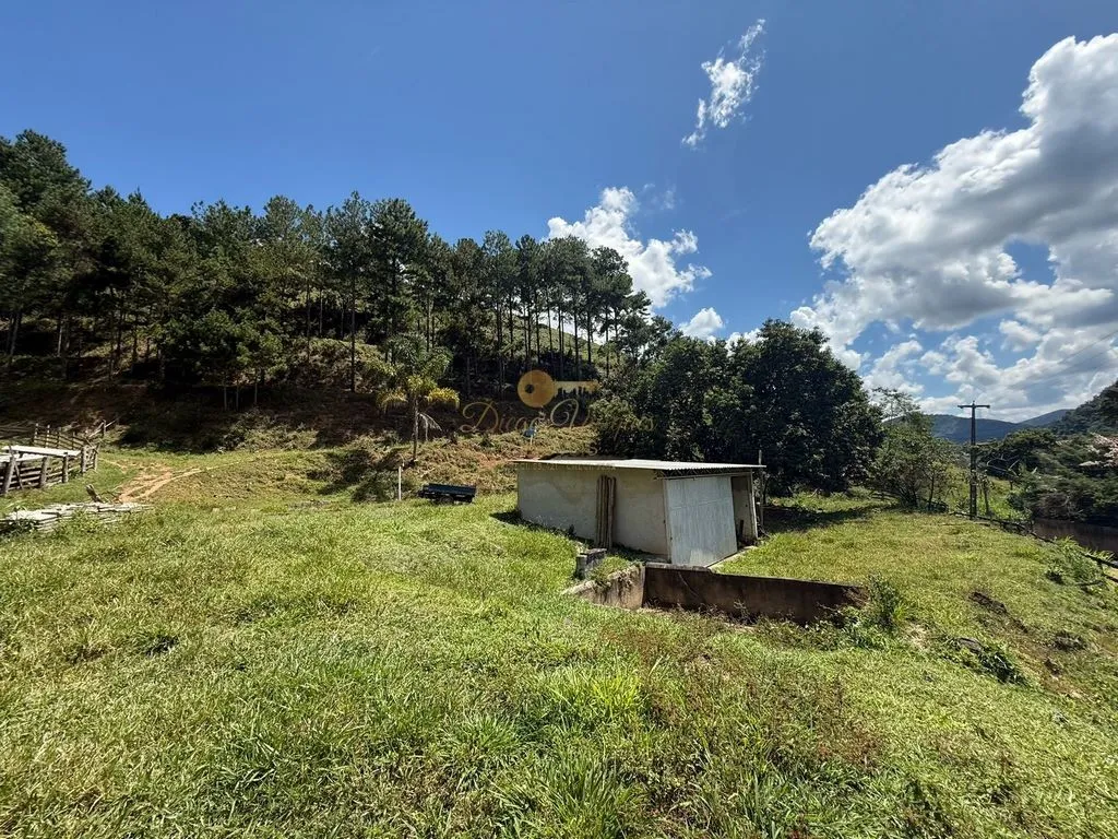 Imagem Sítio para Venda em Teresópolis / RJ no bairro Pessegueiros