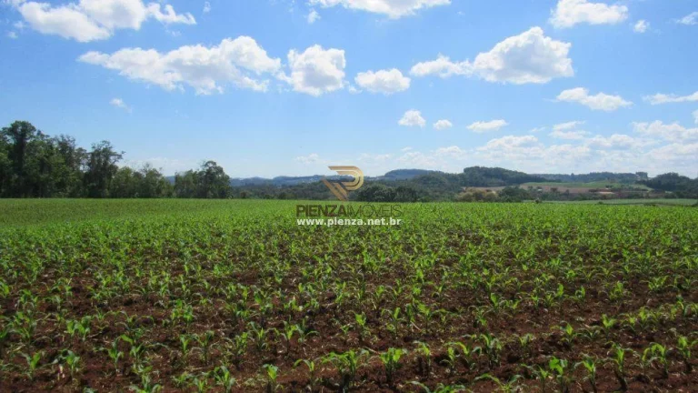 Imagem Área para Loteamento para Venda em Concórdia, São Cristóvão