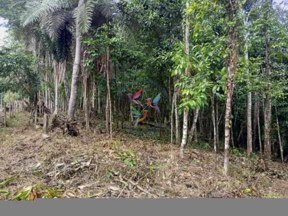 Imagem ÁREA DE 9.000 M2 EM SAPIRARA