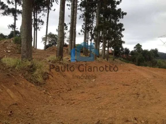 Imagem Área de 2.740m² - Centro de Cotia - Km 32 Raposo Tavares