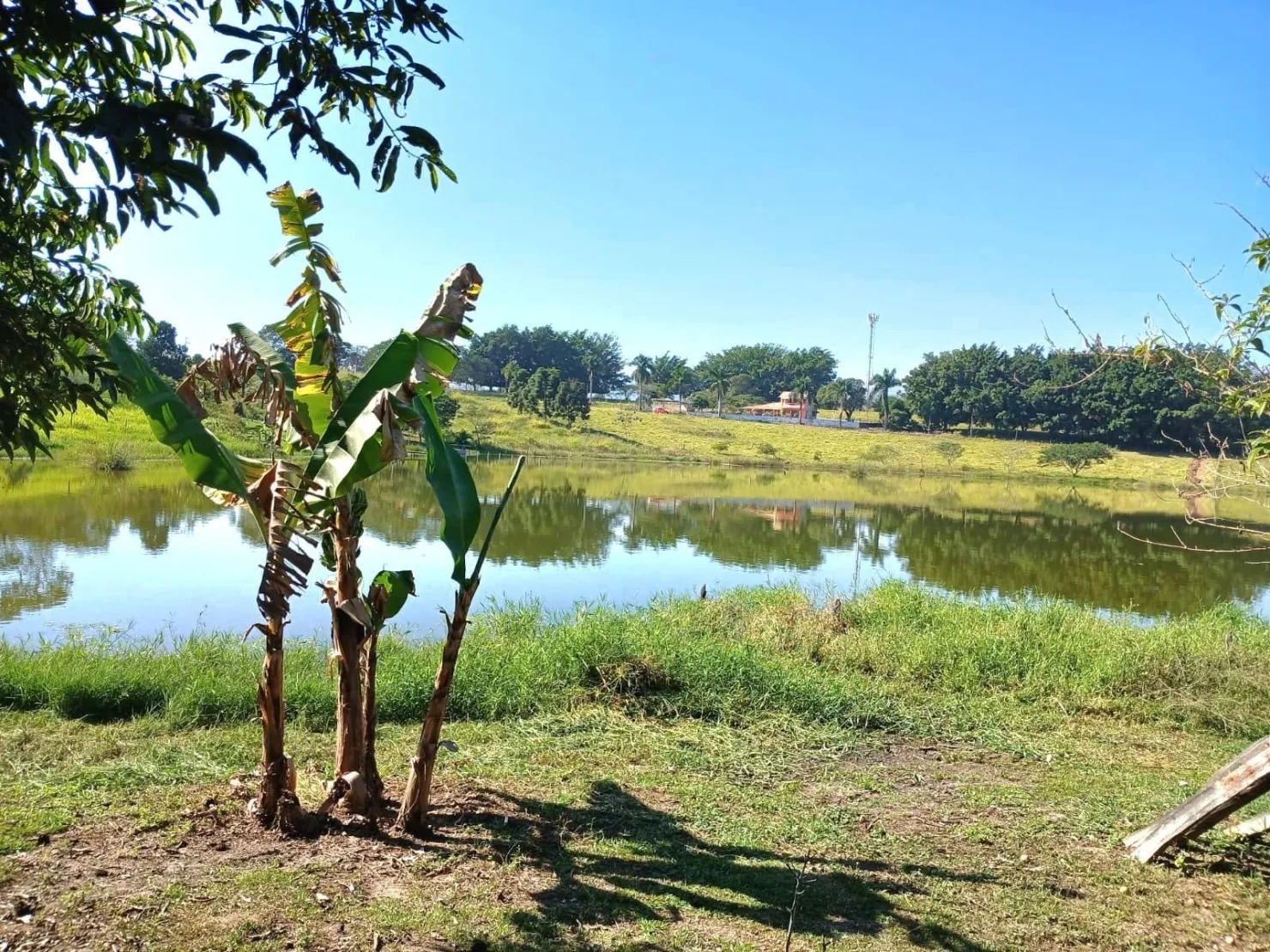 Imagem Chácara à venda e locação 3 Quartos, 3950M², Goiabal, Pindamonhangaba - SP