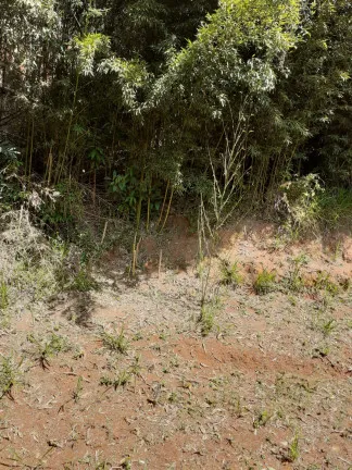 Imagem Imóvel Comercial à Venda, 100 m² em Pimenteiras - Teresópolis
