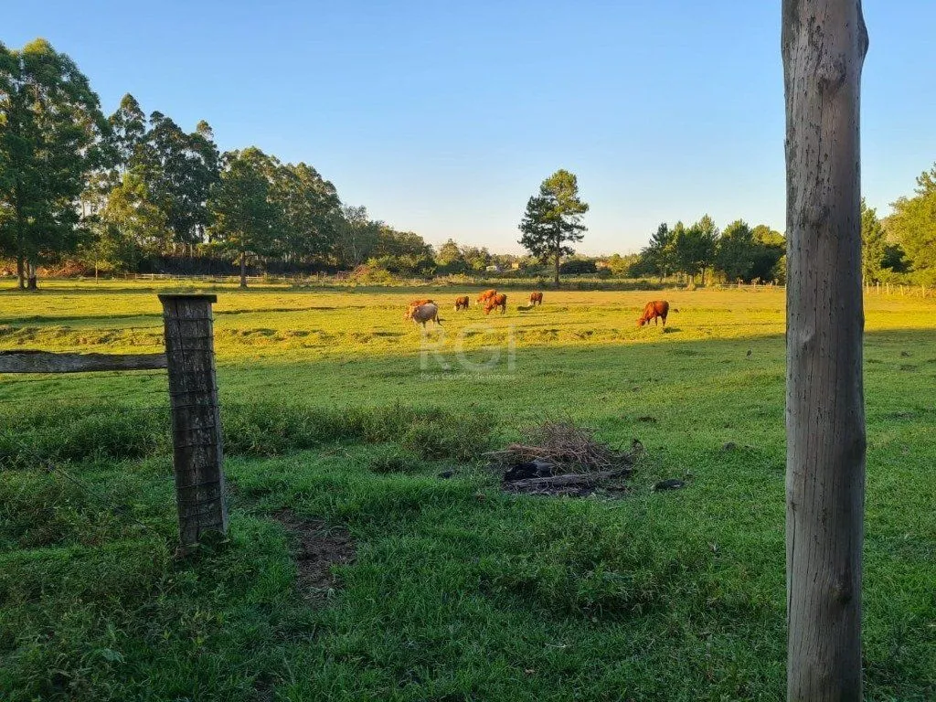 Imagem Sítio para Venda - 60000m², 3 dormitórios, Loteamento Rural Palermo