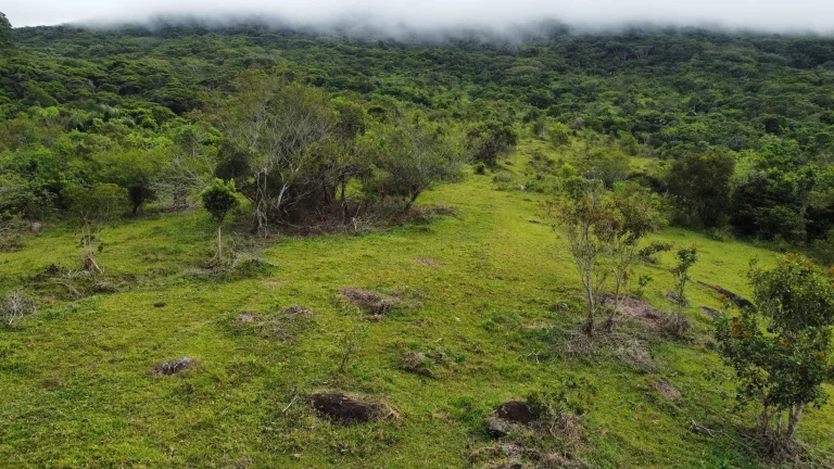 Imagem Terreno à Venda com Vista para o Mar e Lagoa do Macacu - 9,3 Hectares em Garopaba-SC!