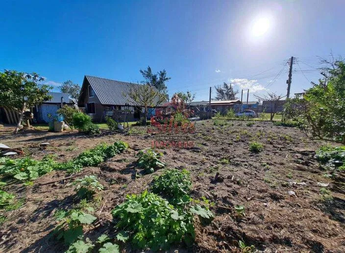Imagem T181 | Terreno 300m² aterrado e cercado, Albatroz