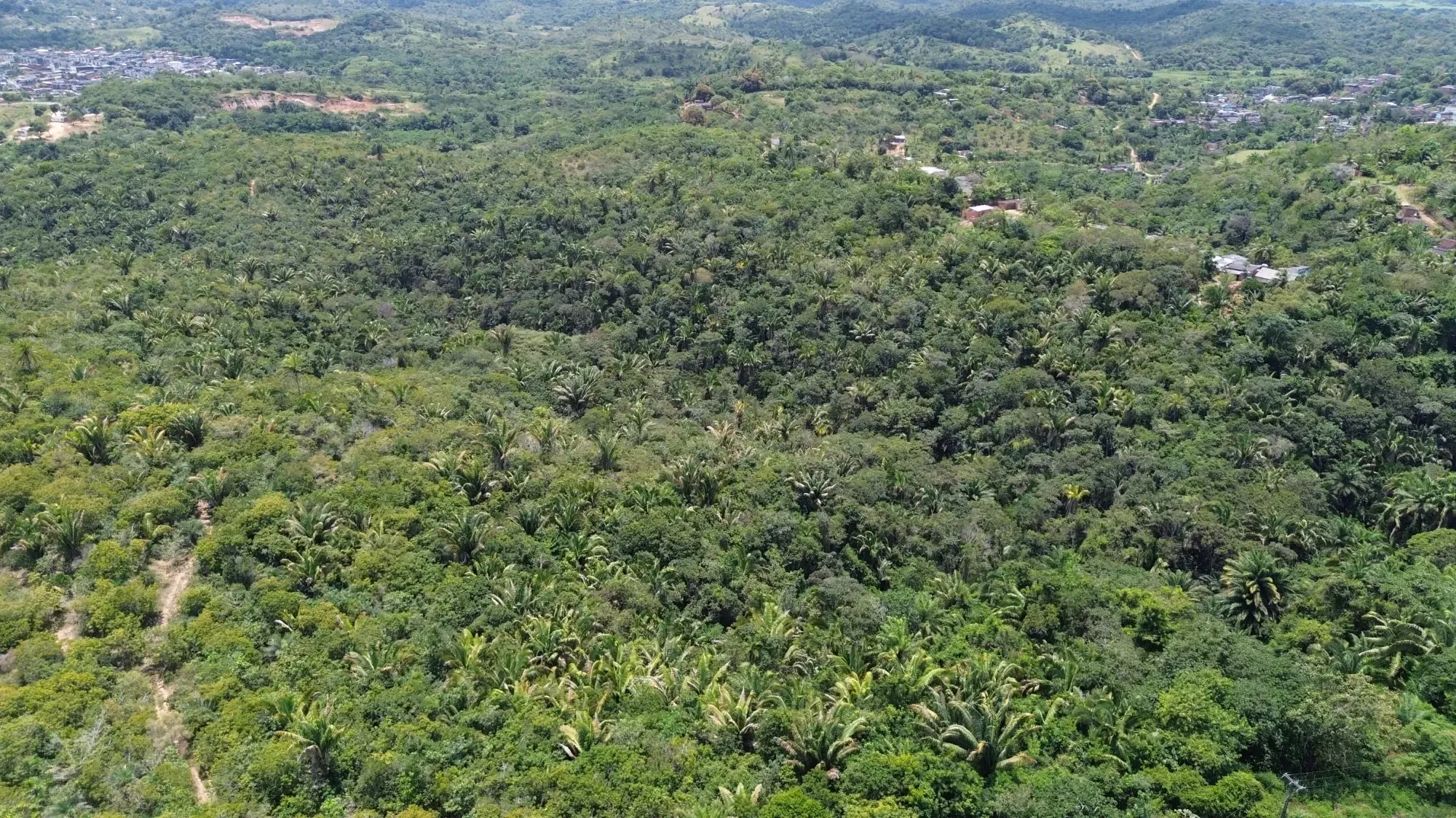 Imagem Terreno à Venda, 544000 metros em Centro - Simões Filho