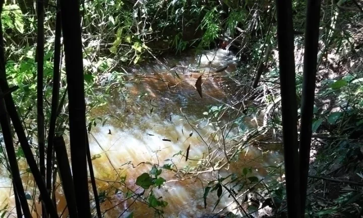 Imagem Linda Área para Loteamento em Piracaia 20 alqueires