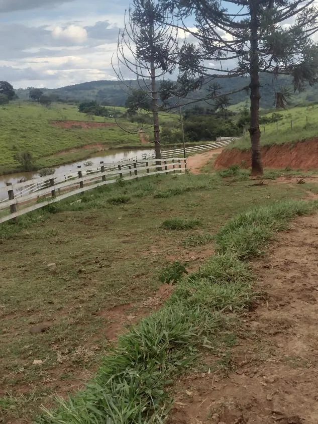 Imagem Excelente fazenda com 194 hectares de terra de cultura disponível para venda