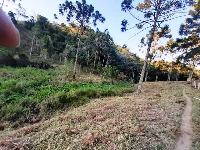 Imagem Chácara à venda 170000M², Paraibuna, Cunha - SP