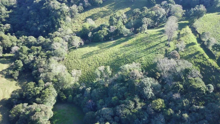 Imagem Área Agrícola para Venda em Lindóia do Sul, Linha Mimosa