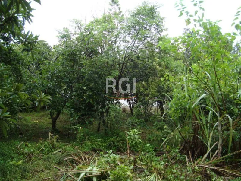Imagem Terreno para Venda - 850m², 0 dormitórios, Centro