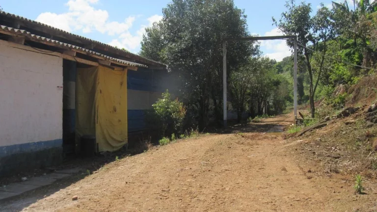 Imagem Área Agrícola para Venda em Arabuta, Rural