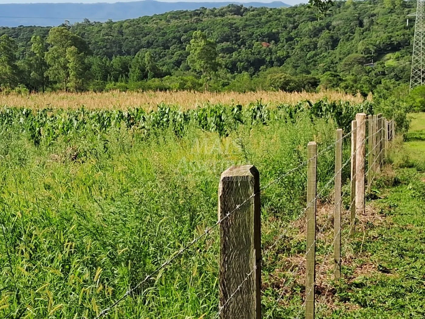 Imagem Área de Terras à venda, localizada em Taquara, ótima para plantação ou criação