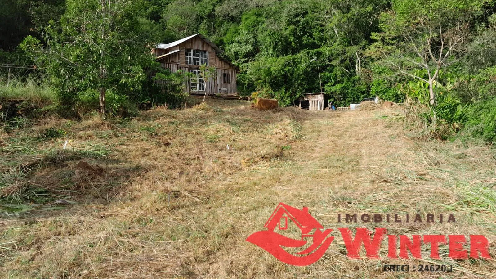 Imagem Área de terras com 21.000m² a venda no Canto Chuchu, Feliz