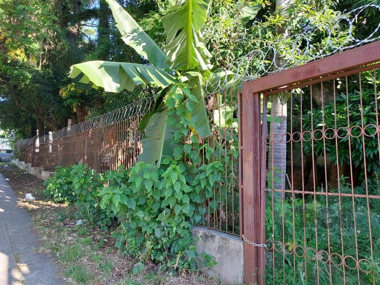 Imagem Terreno em Medianeira