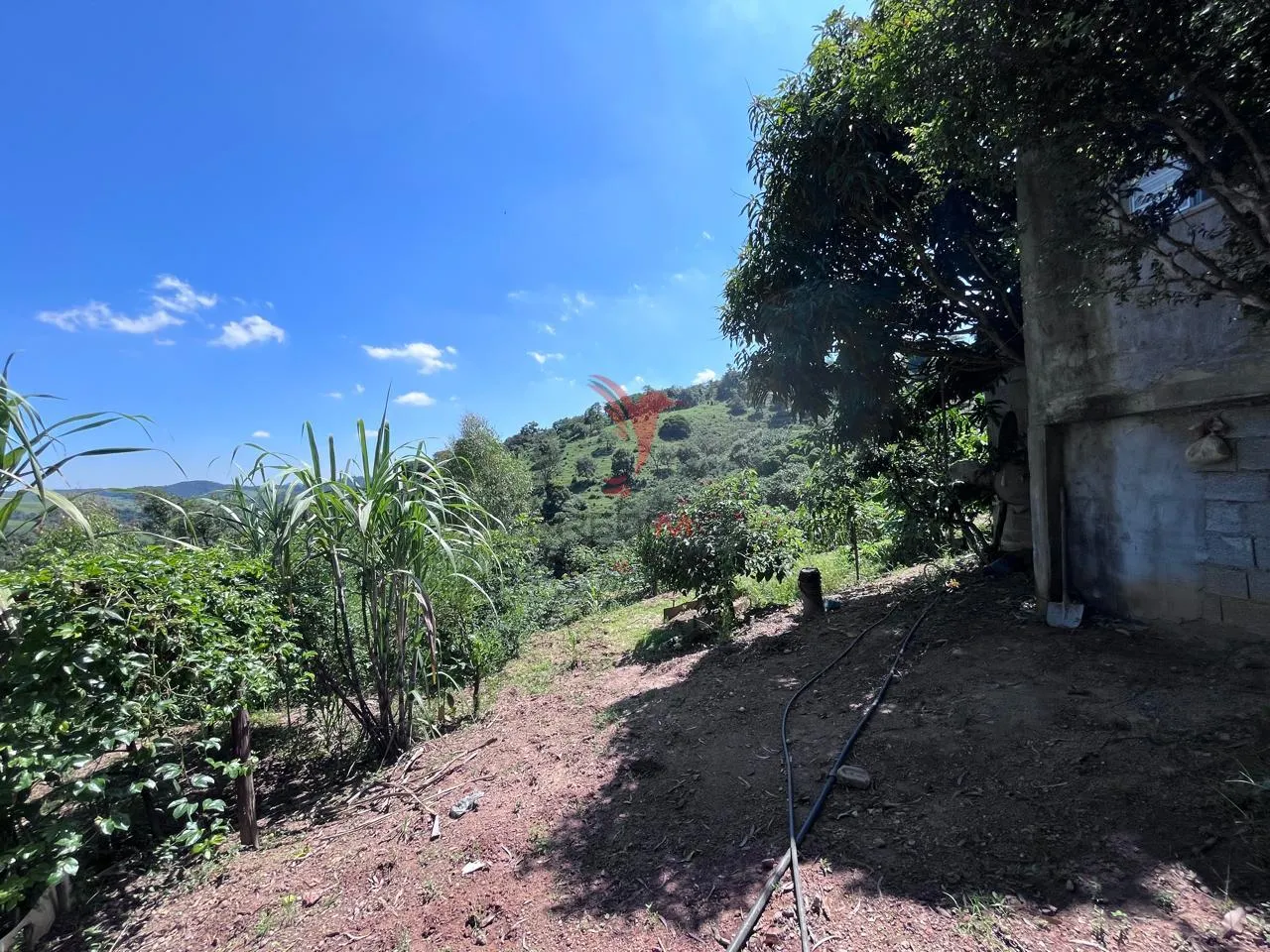 Foto do imóvel Sítio com 8.000 metros a venda em Araçariguama, no bairro Ella em Rua Falcão, 8004 - Araçariguama - SP
