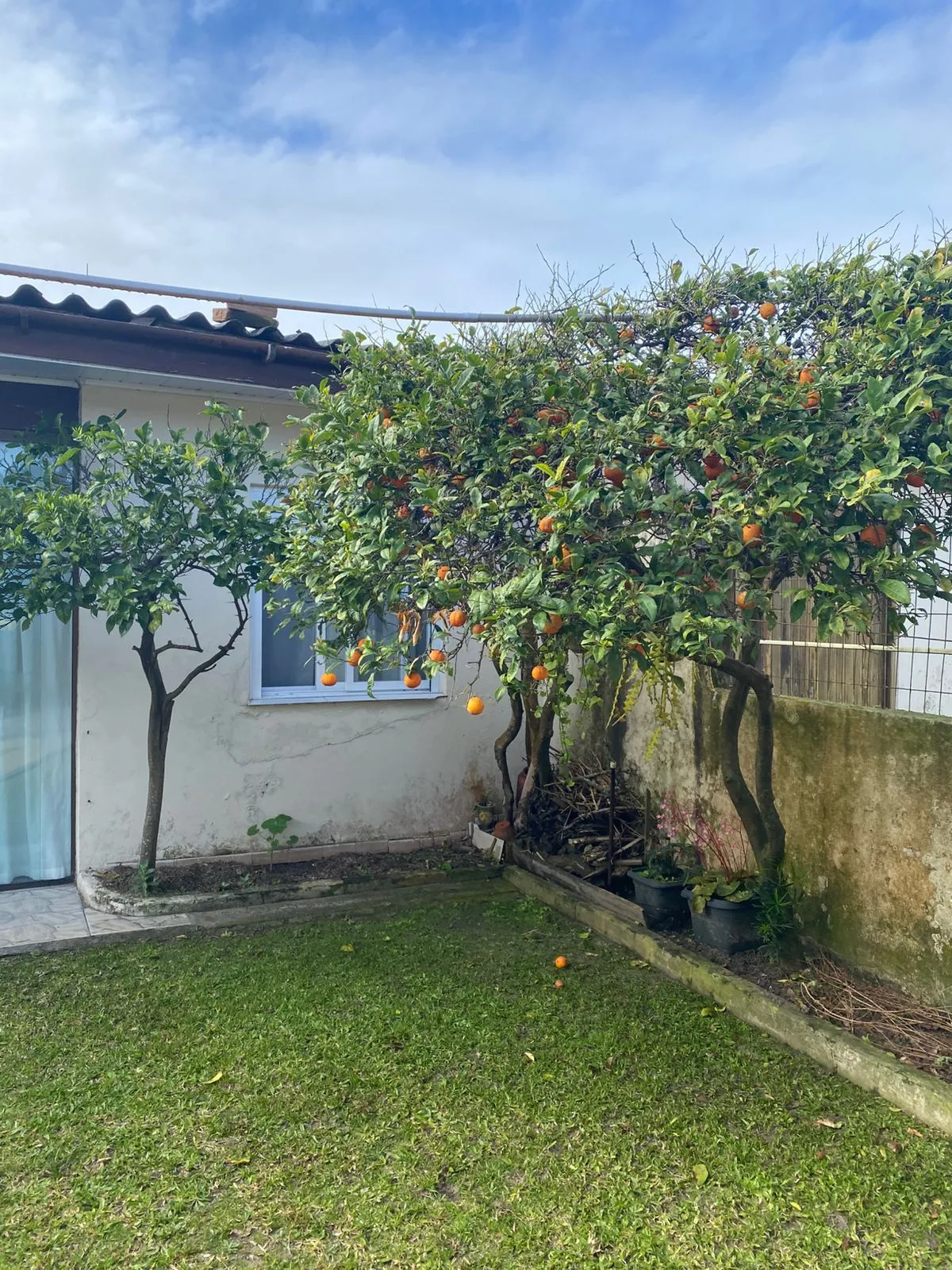 Imagem Casa em Cidreira com 4 dormitorios