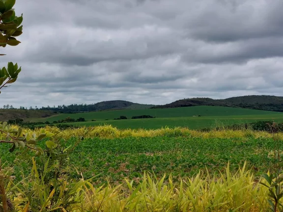 Imagem Incrível Fazenda Oliveira MG 280 hectares!