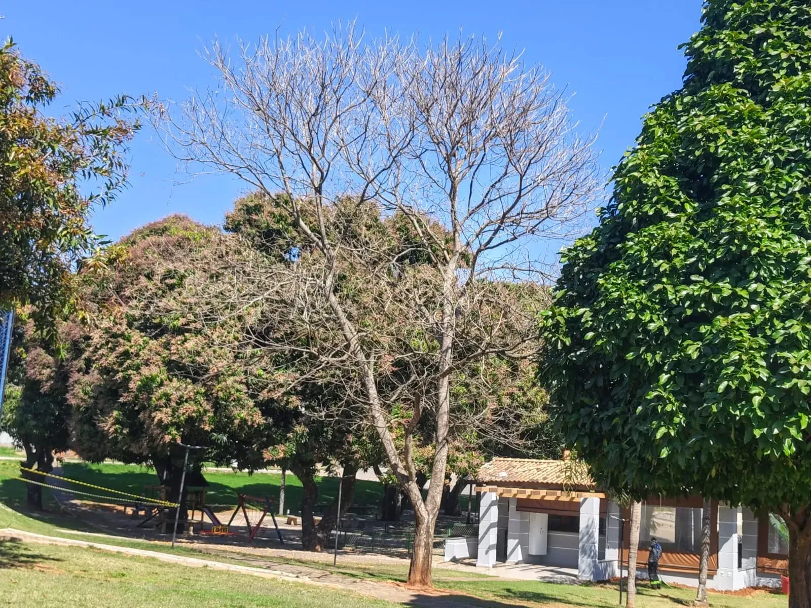 Imagem Casa de Condomínio com 3 Quartos para Alugar, 170 m² em Jardim Novo Horizonte - Sorocaba