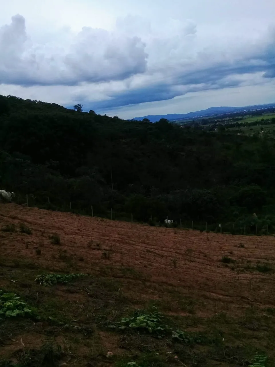 Imagem Chácara à venda 20000M², Mandú, Pindamonhangaba - SP