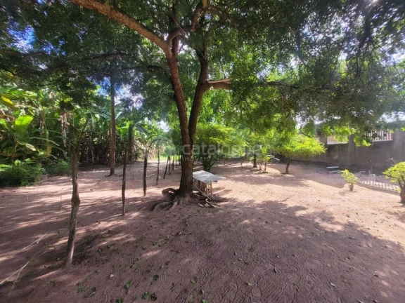 Imagem ÁREA COMERCIAL NA TOMAZ LANDIM