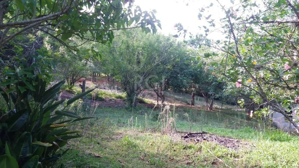 Imagem Terreno para Venda - 0m², 0 dormitórios, Boa Vista do Sul