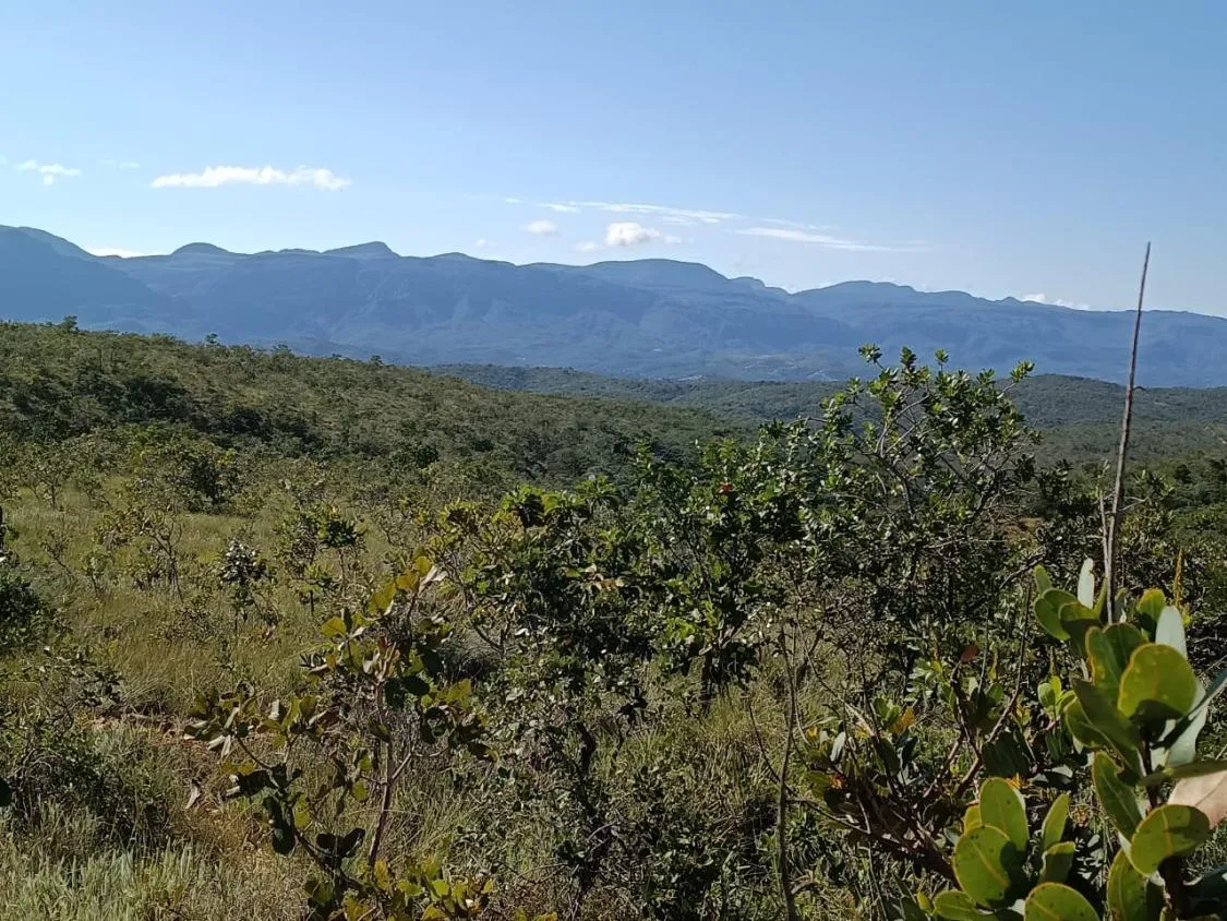 Imagem FAZENDA À VENDA EM SANTANA DO PIRAPAMA ? MG , com 338 hectares de terra