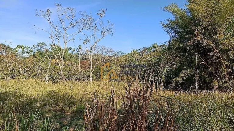 Imagem Terreno à venda, 2250 m² - Palmital - Cachoeira Paulista/SP
