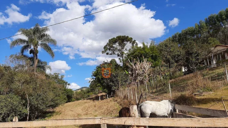 Imagem Chácara com 6 dormitórios à venda, 22400 m² por R$ 732.000,00 - Limas - Pedra Bela/SP